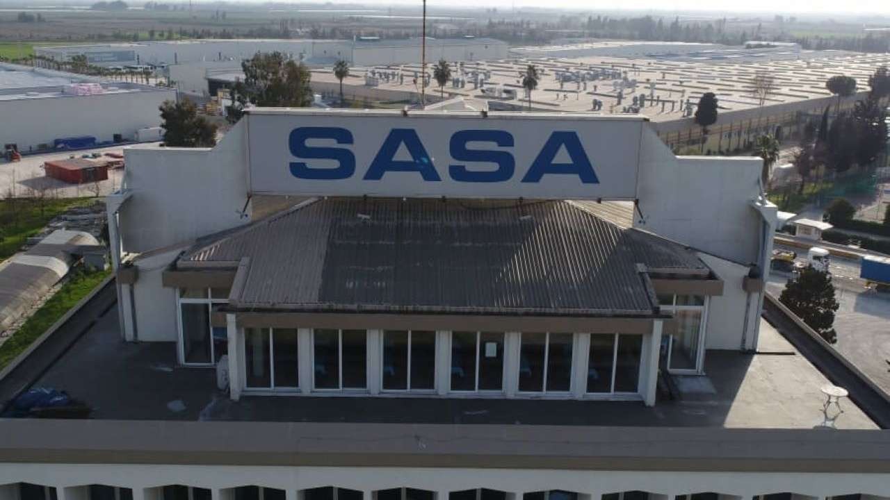 Sasa