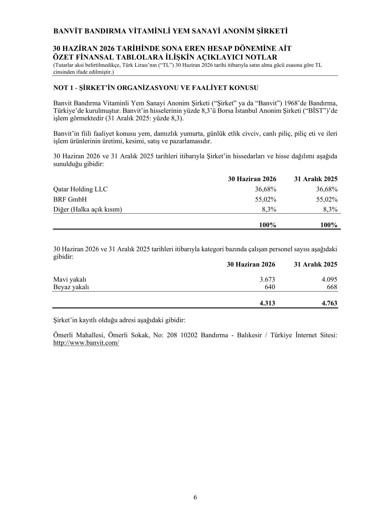 Banvit Finansal Rapor 30.06.2026 TR.pdf โ sayfa 9