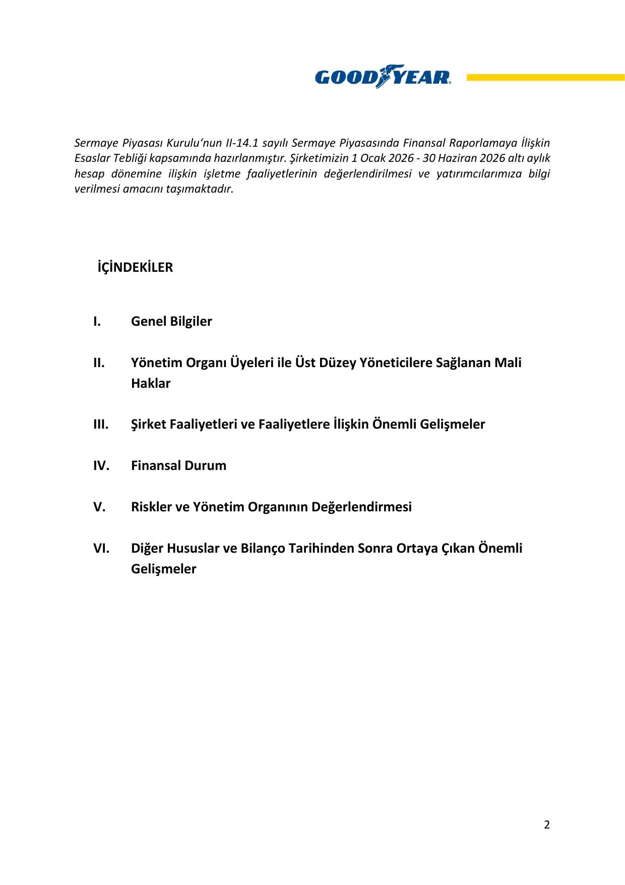 Goodyear 2026 2.Dönem Faaliyet Raporu.pdf — sayfa 3