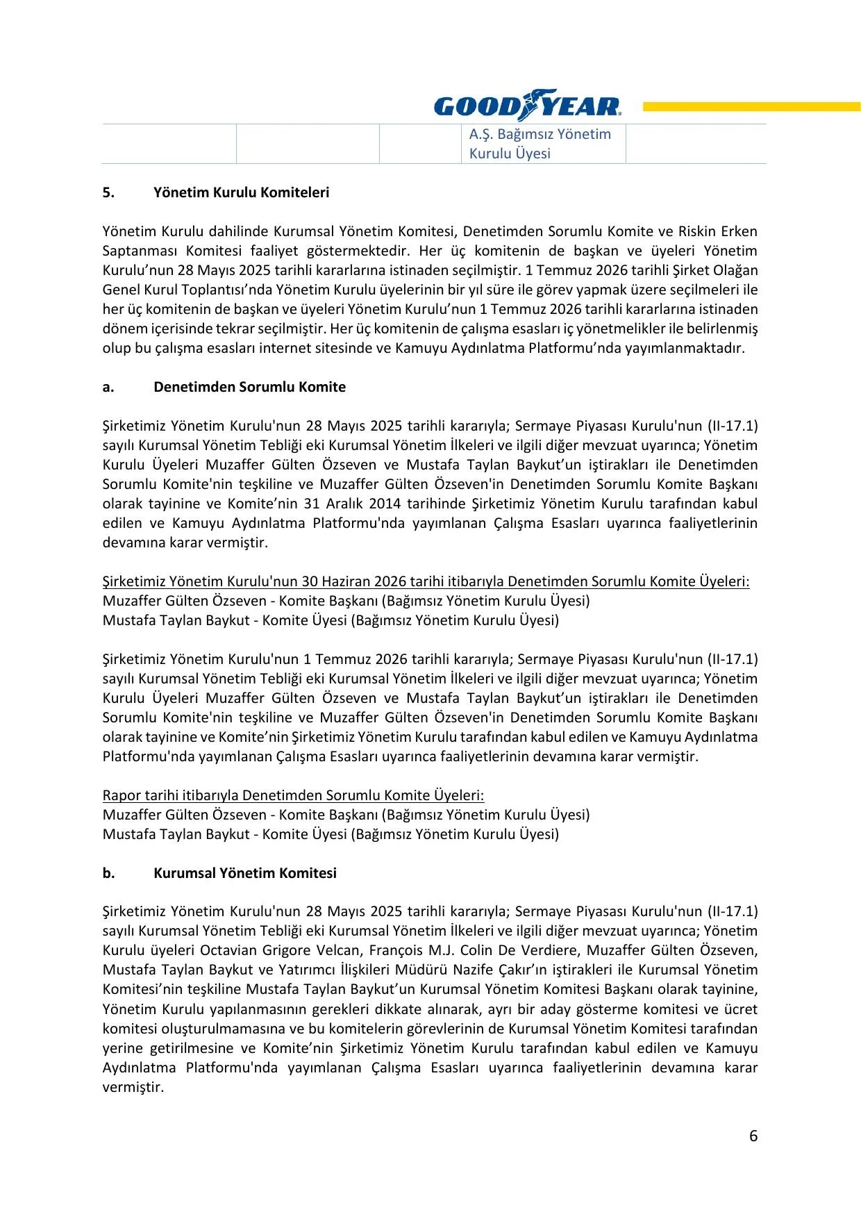 Goodyear 2026 2.Dönem Faaliyet Raporu.pdf — sayfa 7