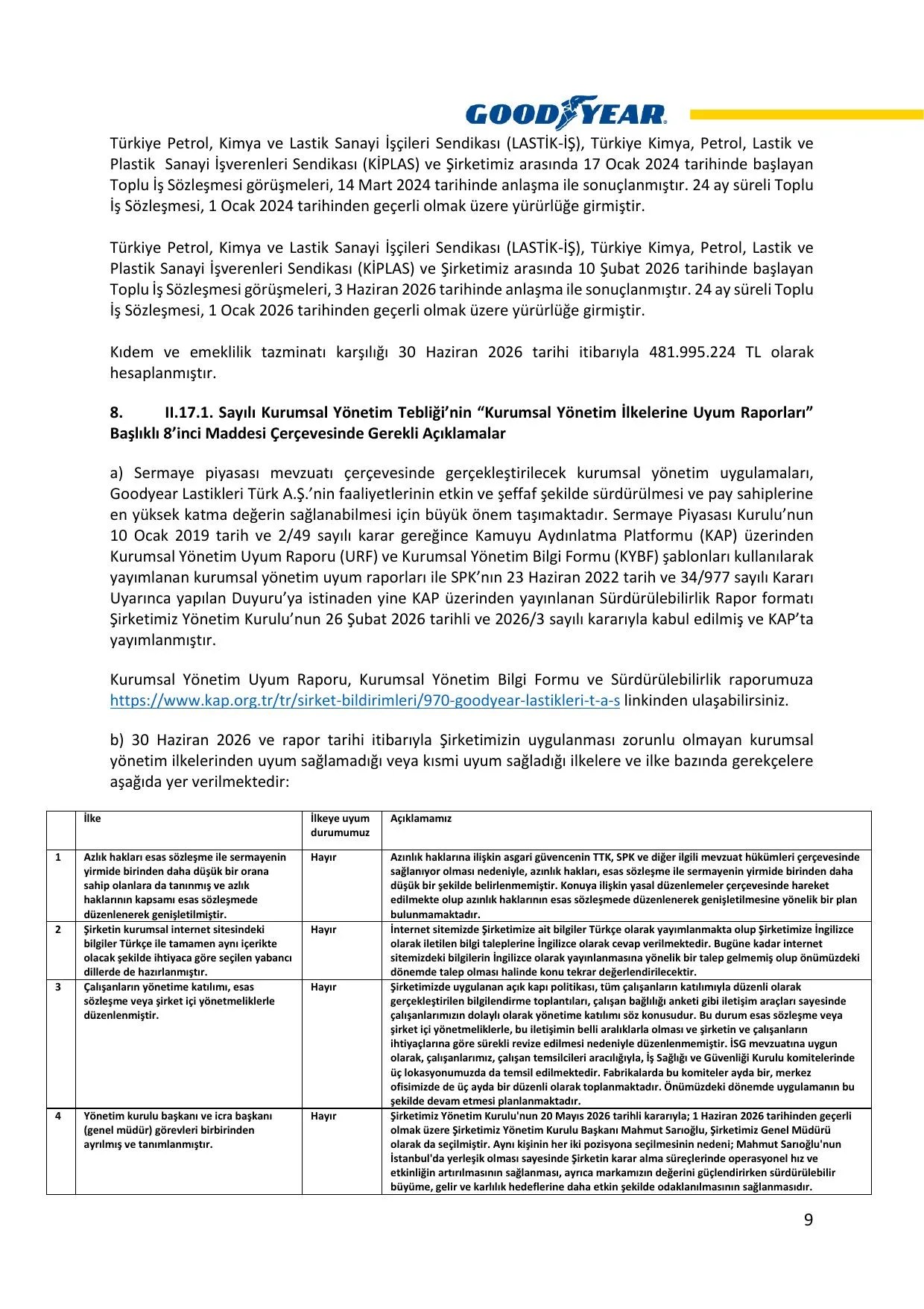 Goodyear 2026 2.Dönem Faaliyet Raporu.pdf — sayfa 10