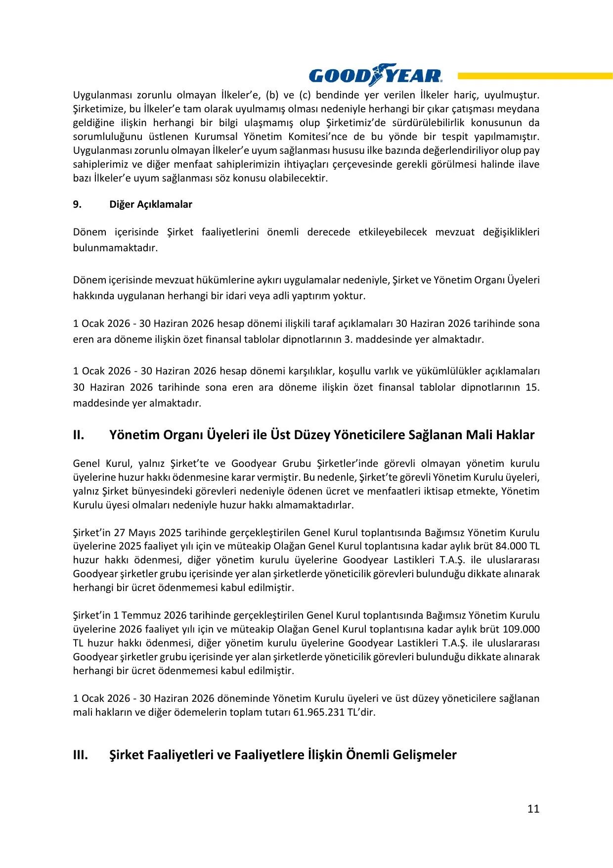 Goodyear 2026 2.Dönem Faaliyet Raporu.pdf — sayfa 12