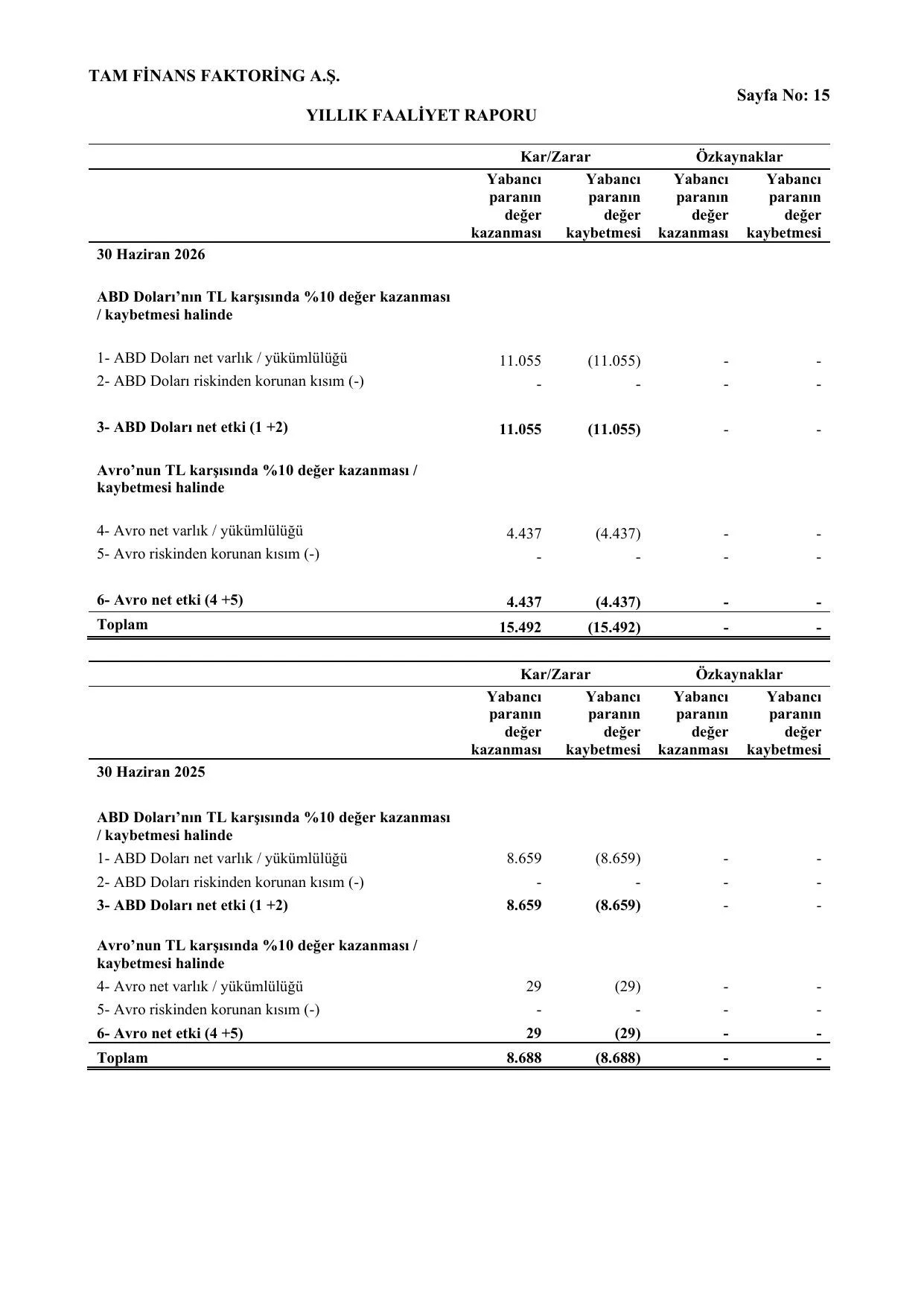 Tam Finans Faaliyet Raporu _30.06.2026 - Final.pdf — sayfa 17