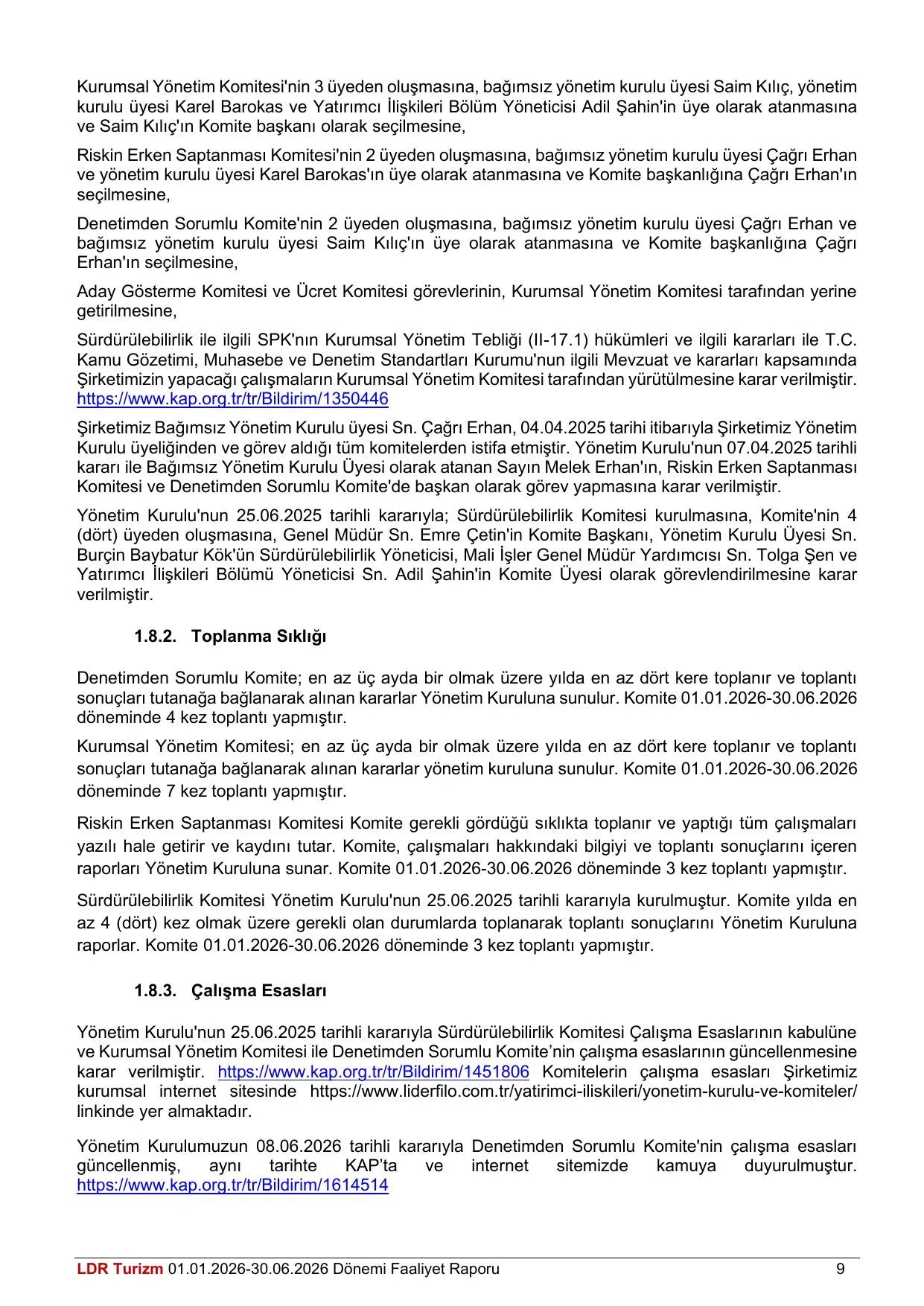 LDR Turizm A.ล. 30.06.2026 Tarihli Faaliyet Raporu (Konsolide Olmayan).pdf โ sayfa 10