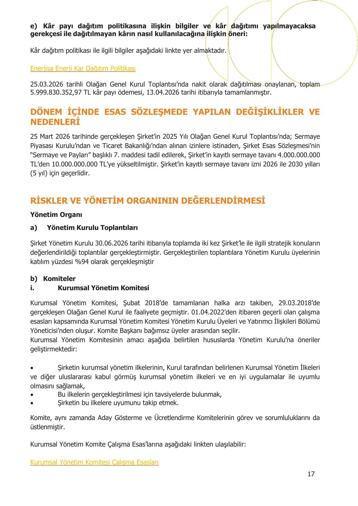 Enerjisa Enerji Aล 30.06.2026 Faaliyet Raporu.pdf โ sayfa 17