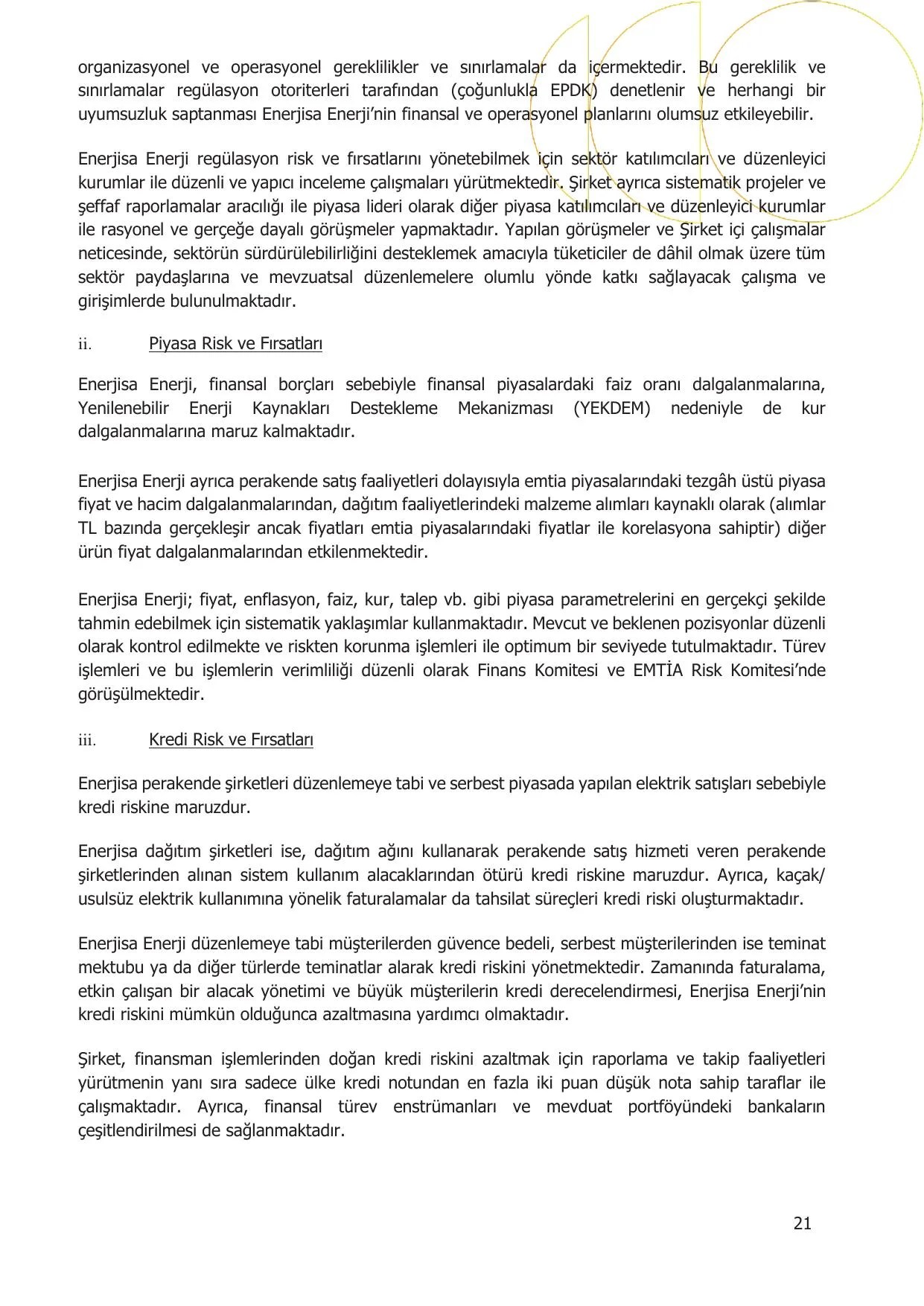 Enerjisa Enerji Aล 30.06.2026 Faaliyet Raporu.pdf โ sayfa 21