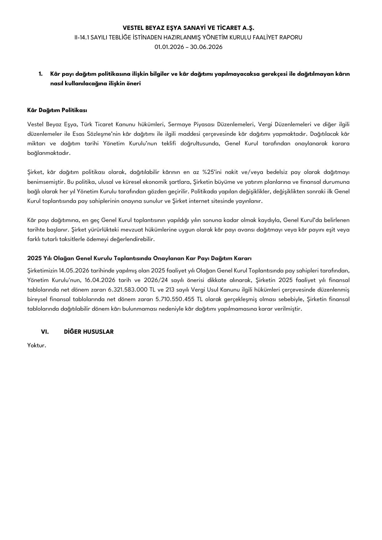 Vestel Beyaz Eลya 30.06.2026 Faaliyet Raporu.pdf โ sayfa 9