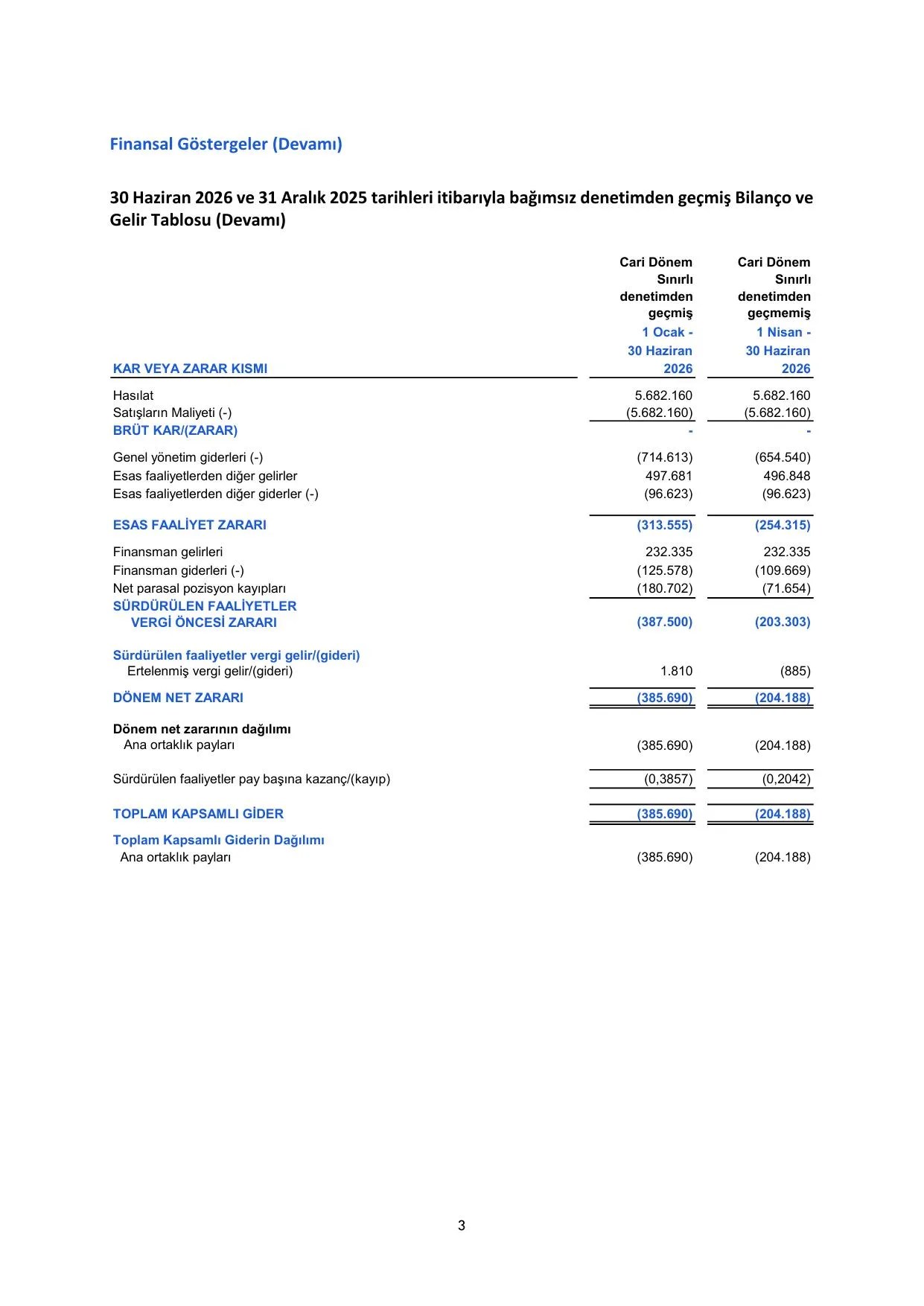 GY VKŞ- Faaliyet Raporu - 30 Haziran 2026.pdf — sayfa 5