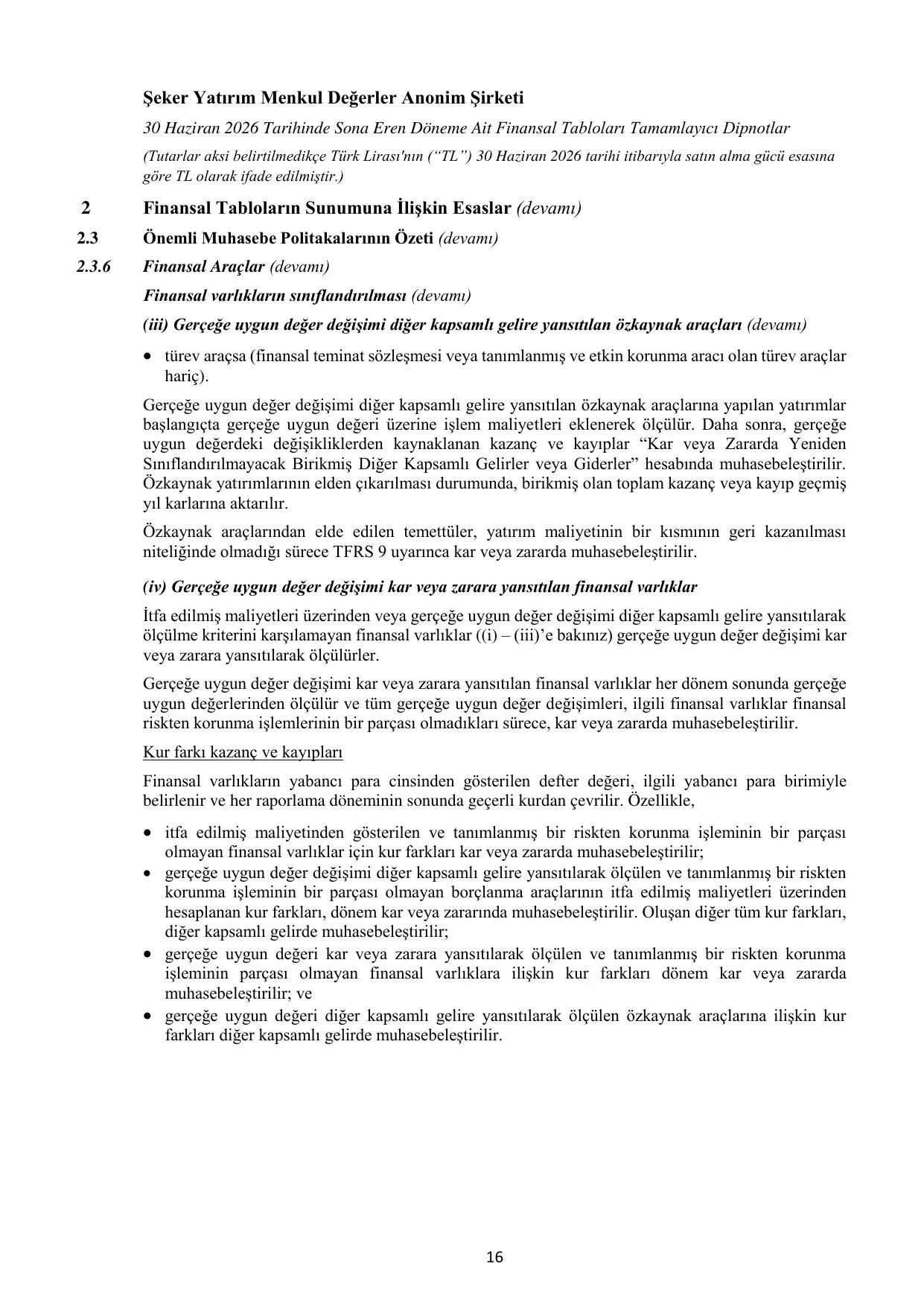 SKY Rapor 30.06.2026.pdf — sayfa 19