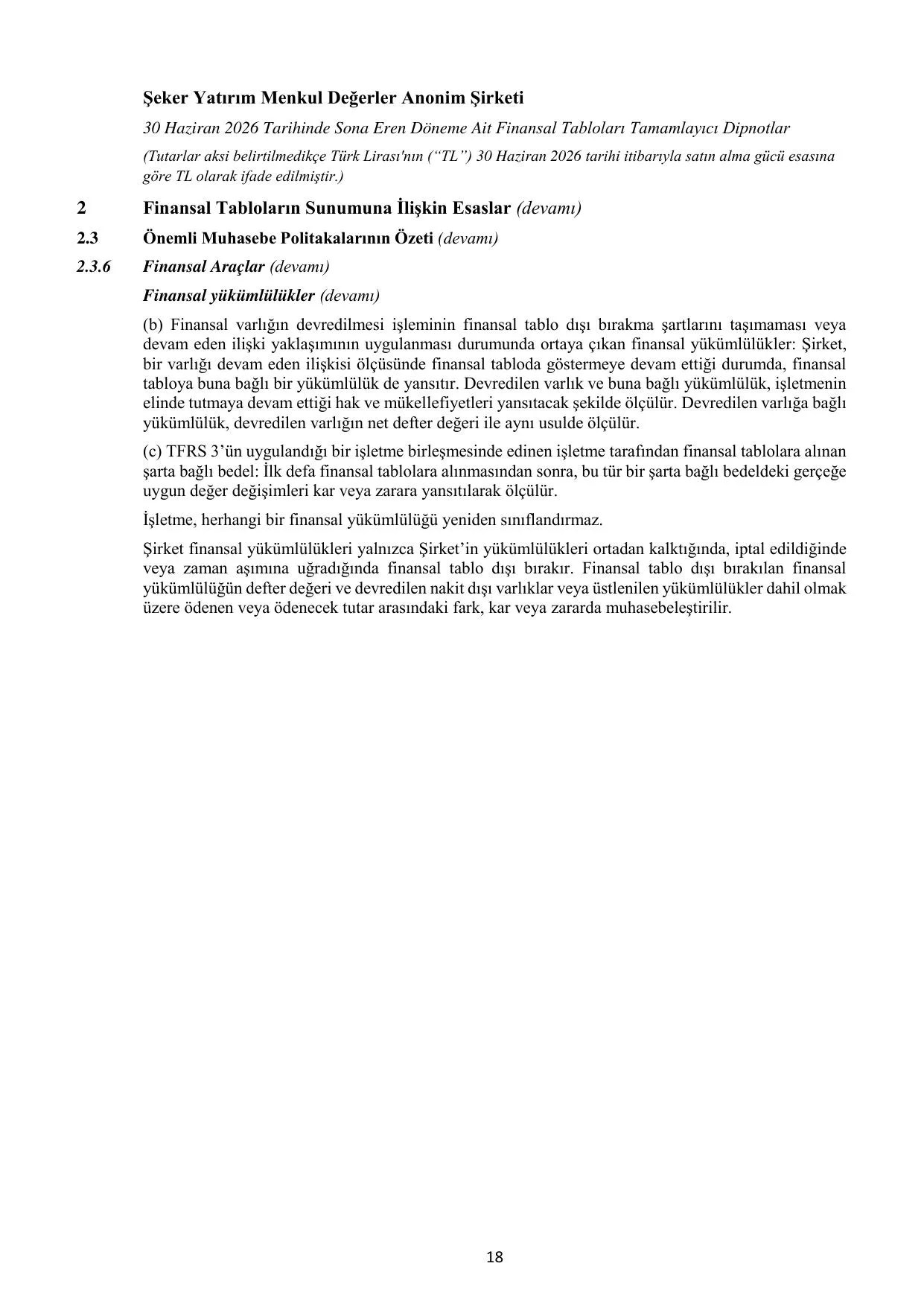 SKY Rapor 30.06.2026.pdf — sayfa 21
