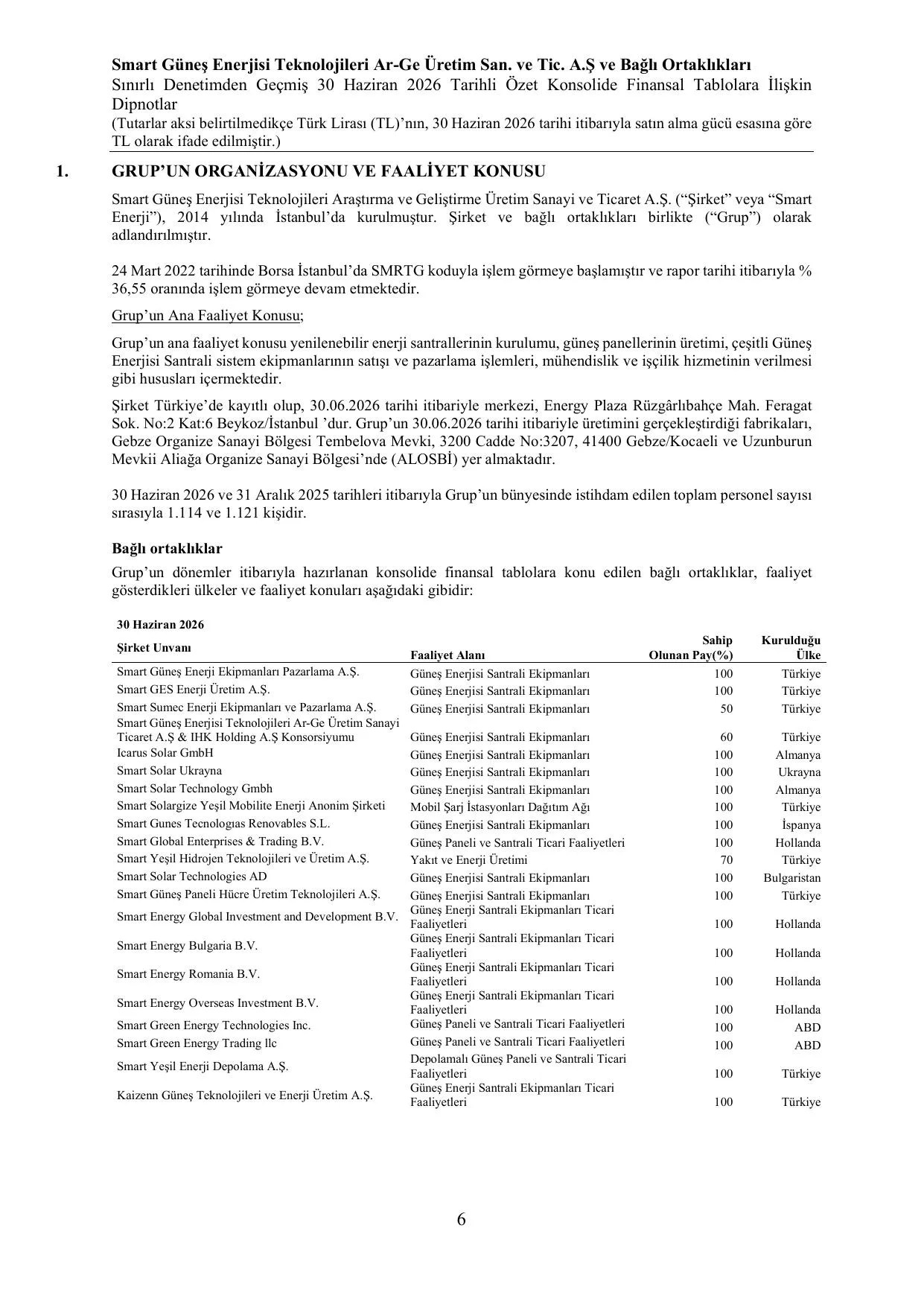 Smart Enerji Konsolide SPK Rapor 30.06.2026 (imzalı).pdf — sayfa 9