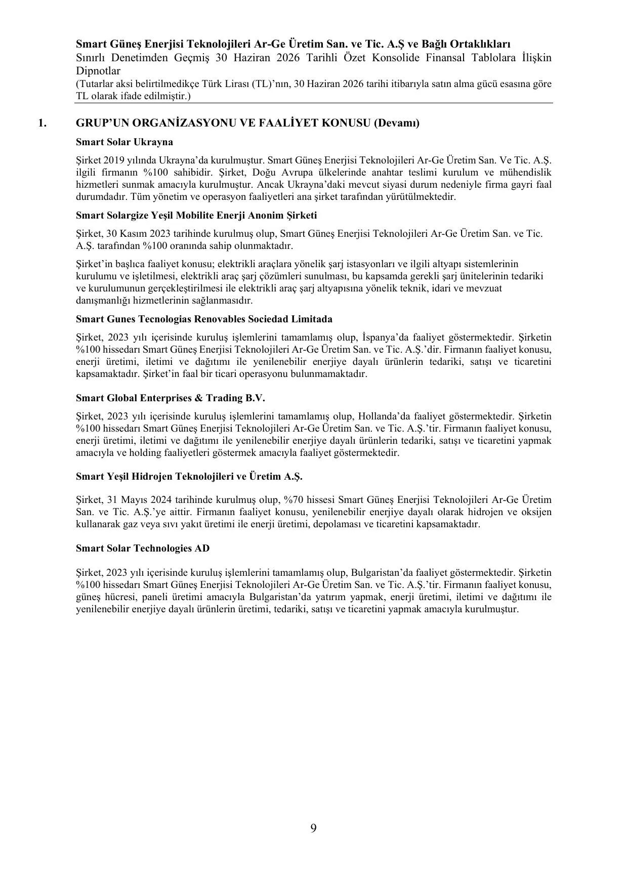 Smart Enerji Konsolide SPK Rapor 30.06.2026 (imzalฤฑ).pdf โ sayfa 12