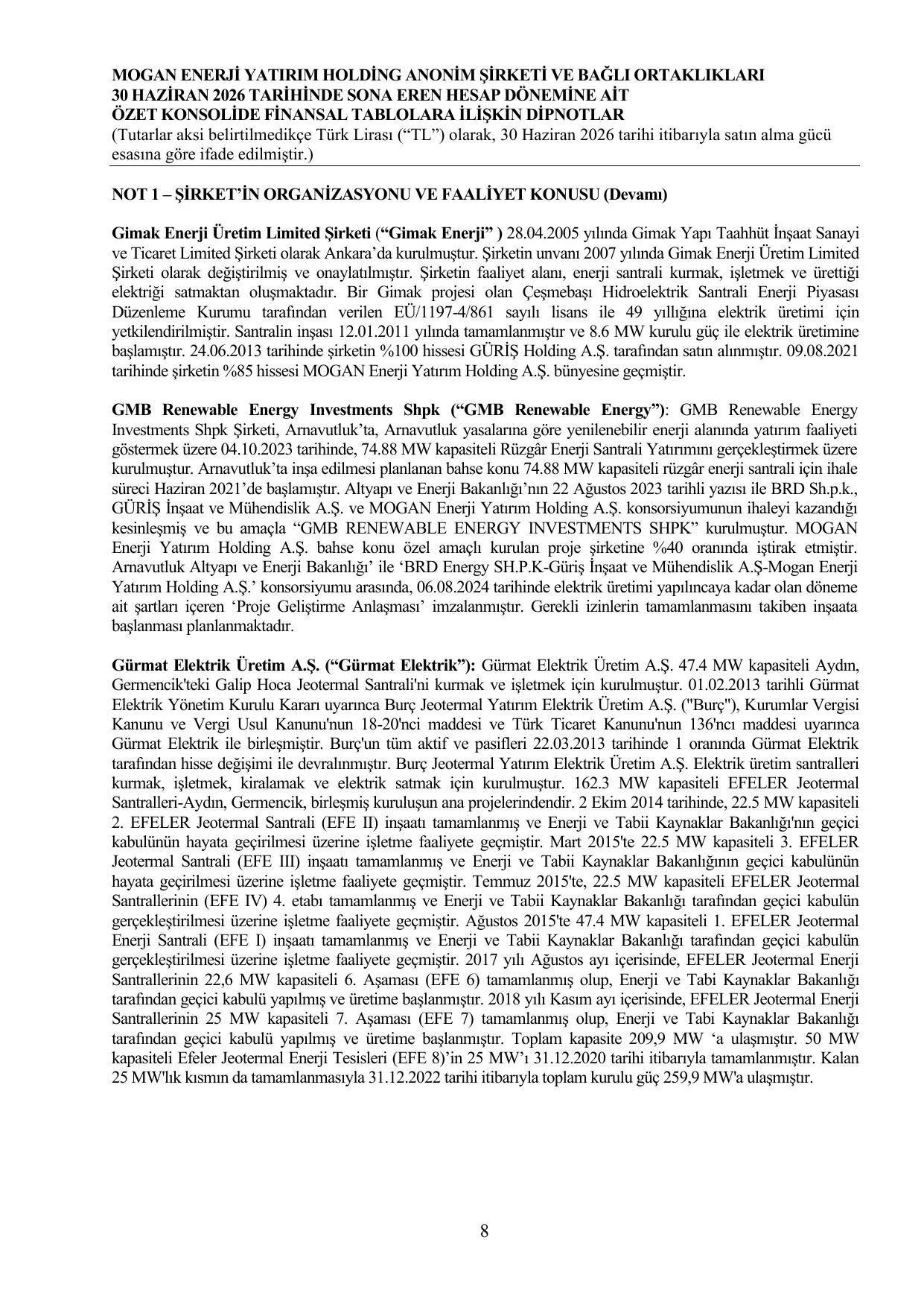 Mogan Enerji SPK Bağımsız Denetçi Raporu 30.06.2026.pdf — sayfa 11