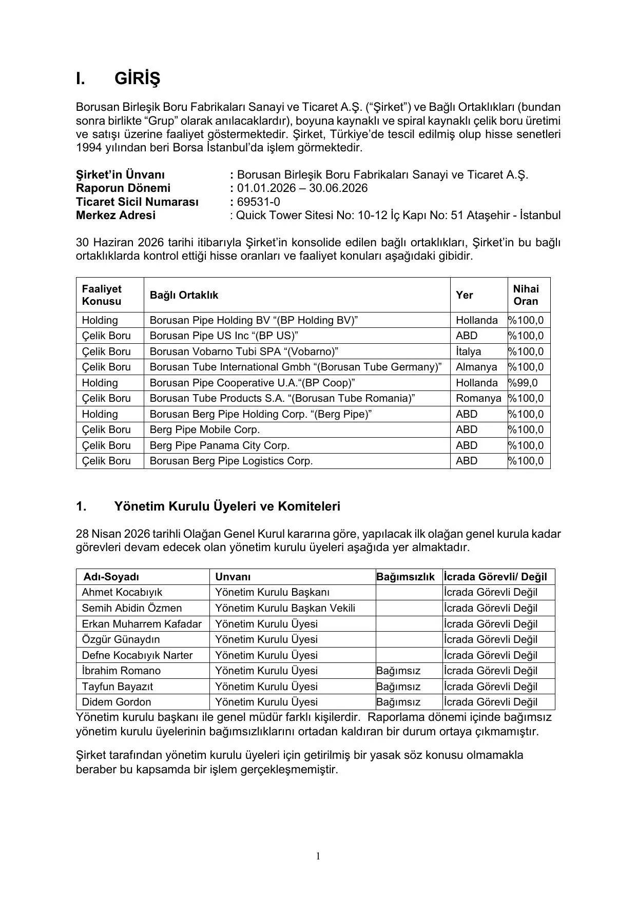 Borusan Birleลik Boru Faaliyet Raporu (2C26).pdf โ sayfa 4