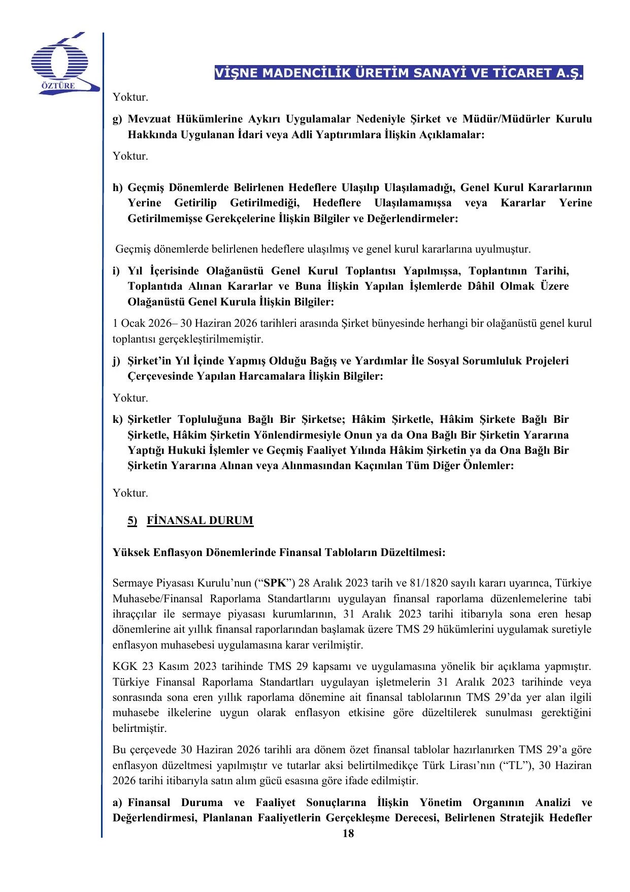 Vişne Madencilik 2026 2. Dönem Faaliyet Raporu.pdf — sayfa 19