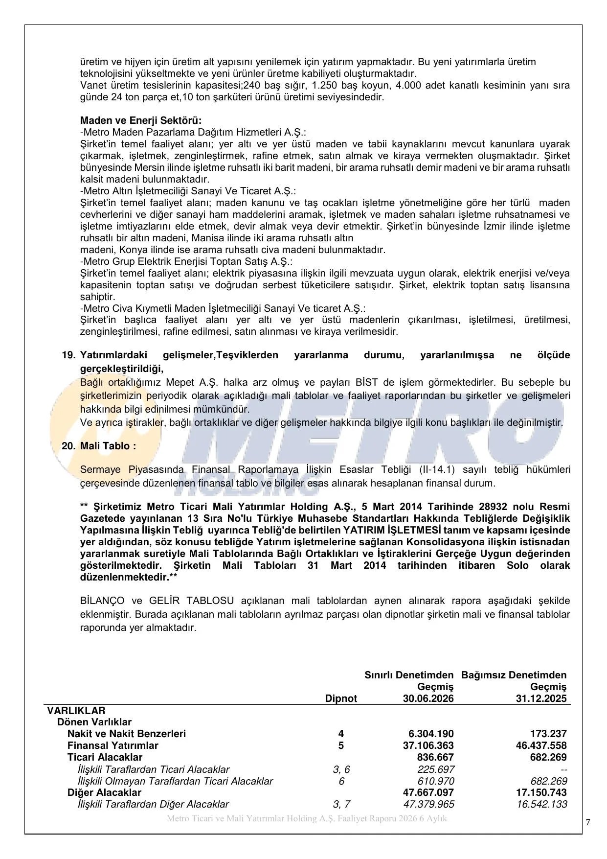 Metro Holding FR.pdf โ sayfa 9