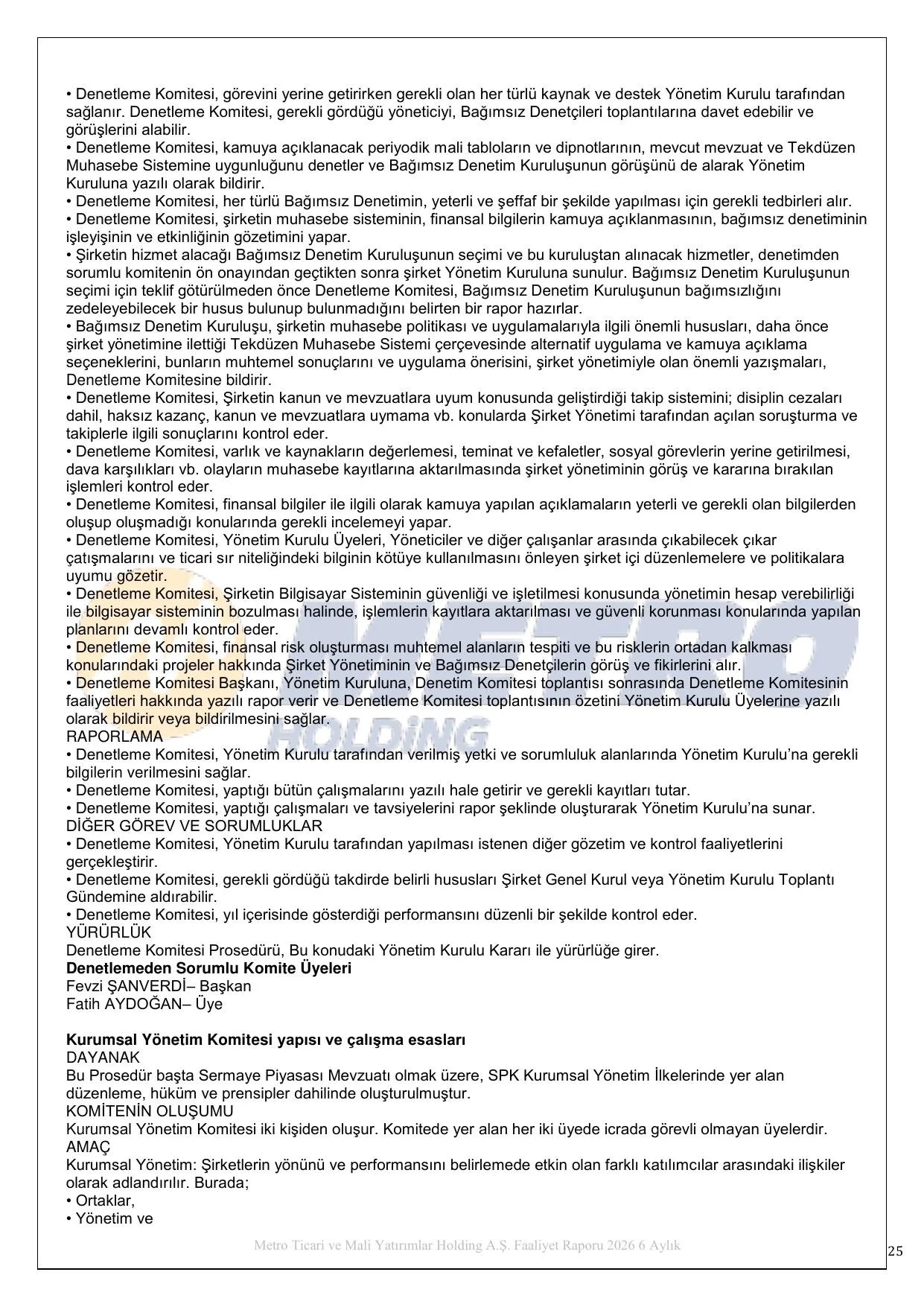 Metro Holding FR.pdf โ sayfa 27