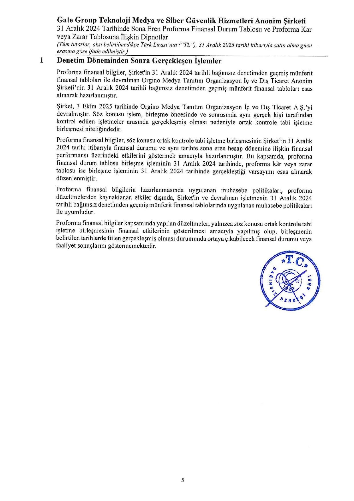 31.12.2024 Proforma Finansal Bilgiler ve Baฤฤฑmsฤฑz Denetรงi Gรผvence Raporu.pdf โ sayfa 9