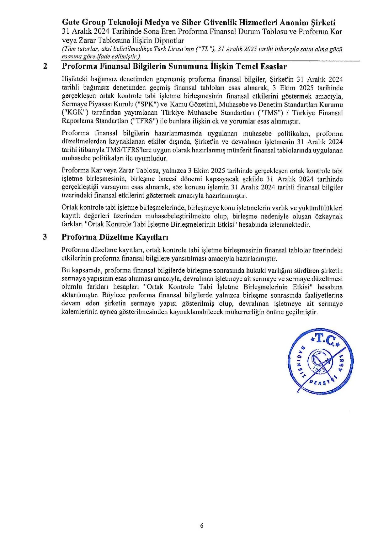 31.12.2024 Proforma Finansal Bilgiler ve Baฤฤฑmsฤฑz Denetรงi Gรผvence Raporu.pdf โ sayfa 10