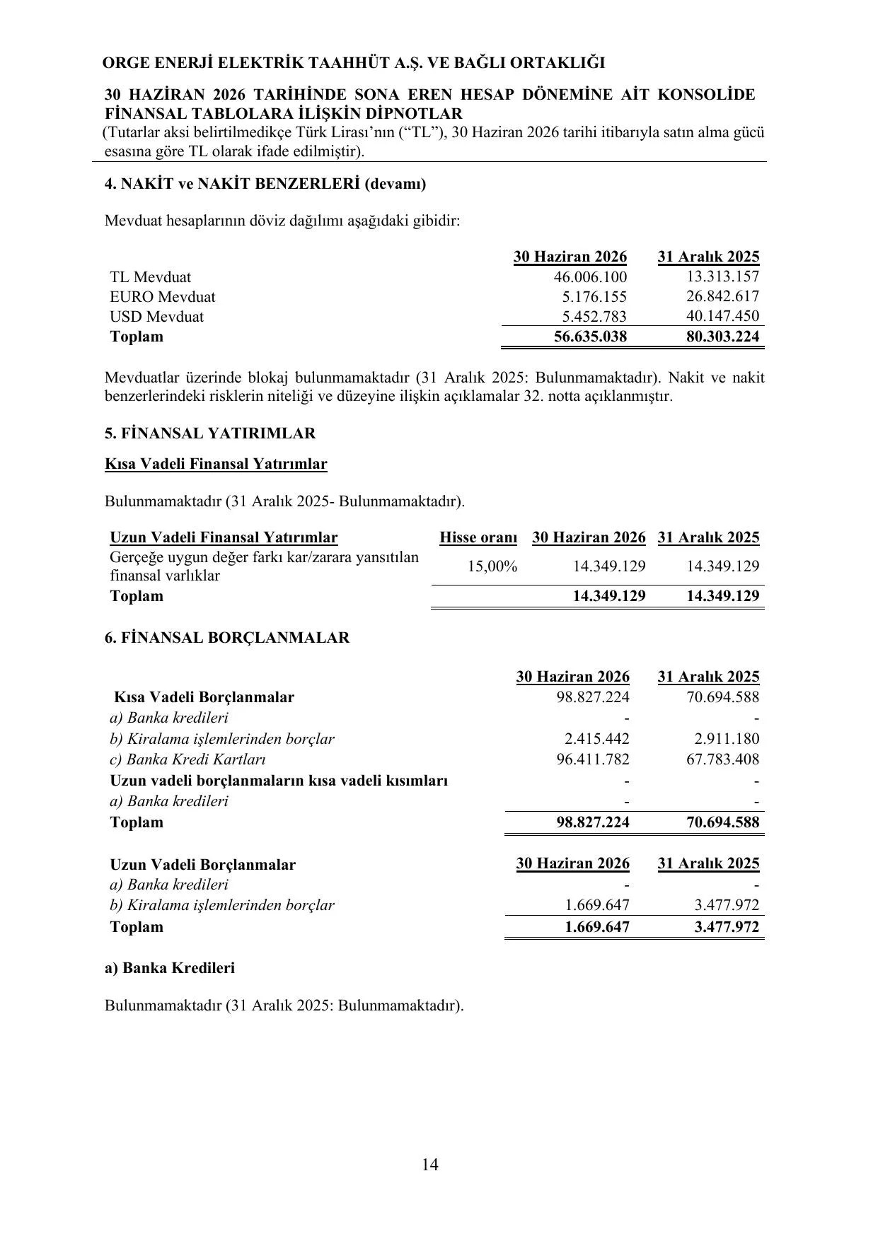 finansal_tablolar.pdf โ sayfa 17