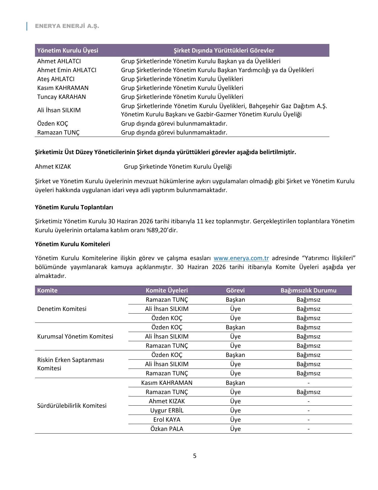 ENERY Faaliyet Raporu_Haziran 2026.pdf — sayfa 6