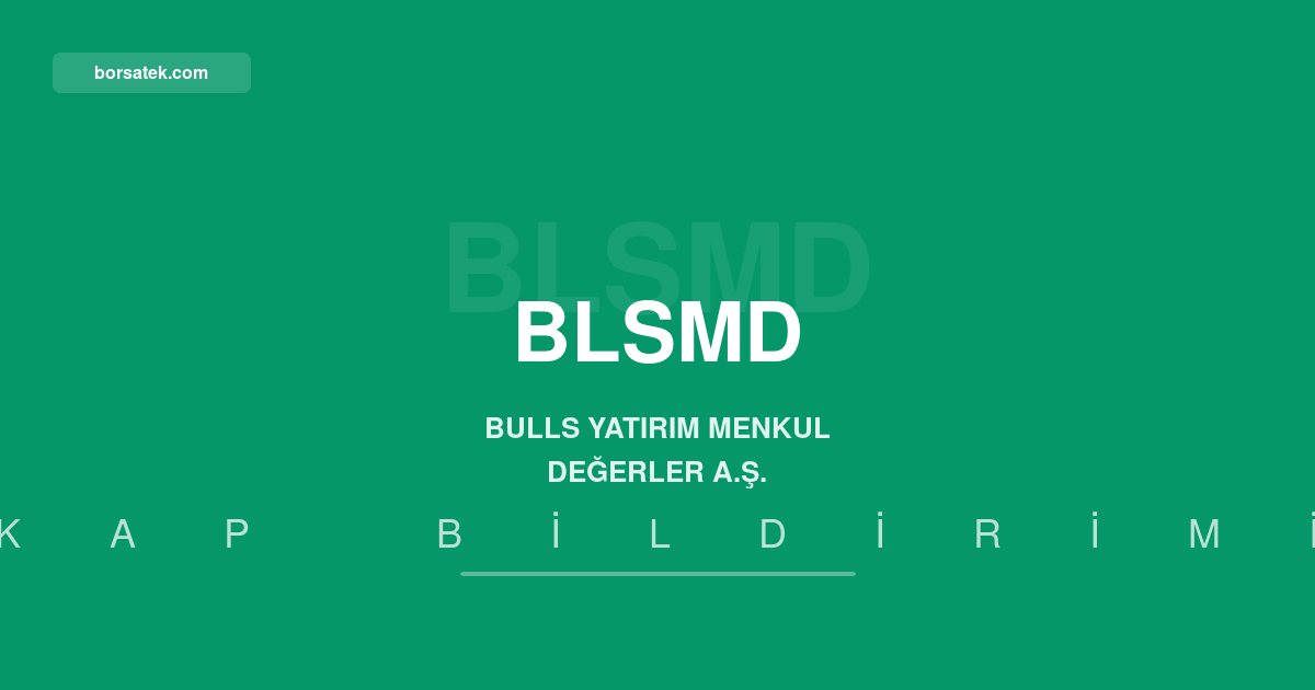 Bulls Yatฤฑrฤฑm, รzerden Ambalaj iรงin zorunlu pay alฤฑm teklifi yaptฤฑ Borsatek