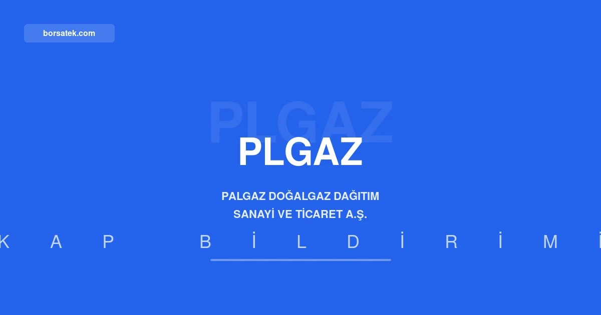 Palgaz'ฤฑn net karฤฑ yรผzde 70 arttฤฑ, รถzkaynaklar 3 milyar TL'yi geรงti Borsatek