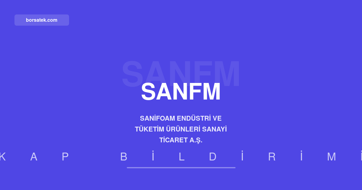 Sanifoam'a Sakarya'da 5.193 m²'lik ilave arsa tahsisi Borsatek