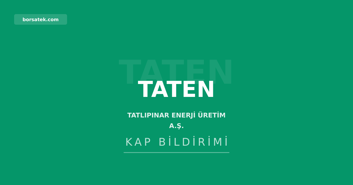 Tatlฤฑpฤฑnar Enerji'nin TEฤฐAล aleyhine aรงtฤฑฤฤฑ RES katkฤฑ payฤฑ davasฤฑ kesinleลti Borsatek