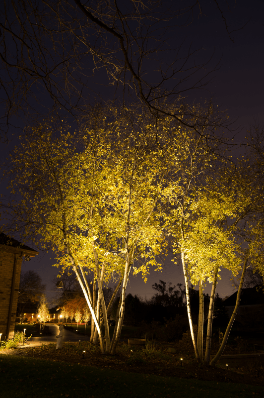 High End Landscape Lighting Outdoor Lighting Near Me