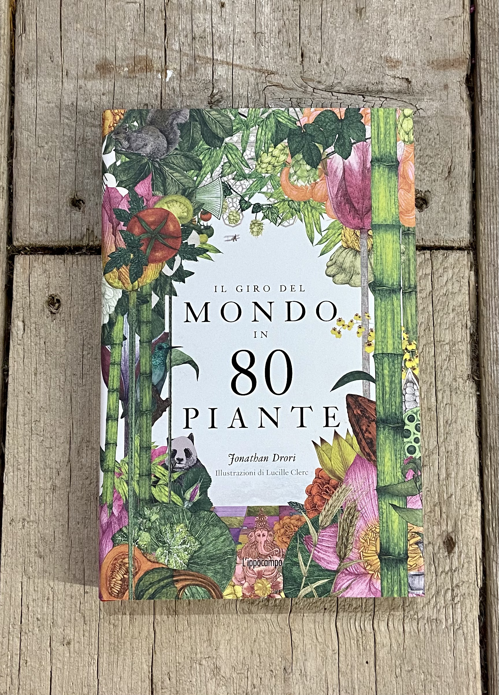 Da mondo piante trovi una vasta gamma di scelta tra piante di vario tipo a. IL GIRO DEL MONDO IN 80 PIANTE
