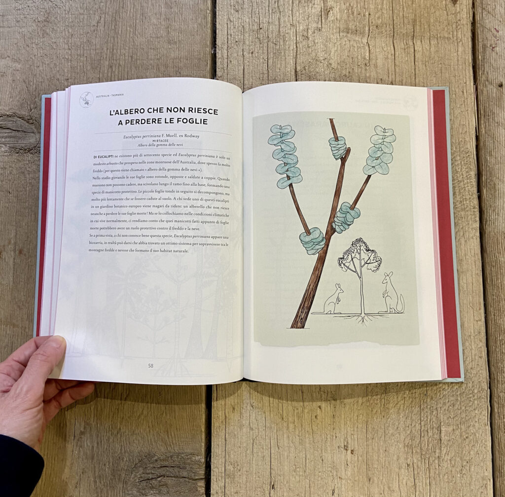 ATLANTE DI BOTANICA POETICA