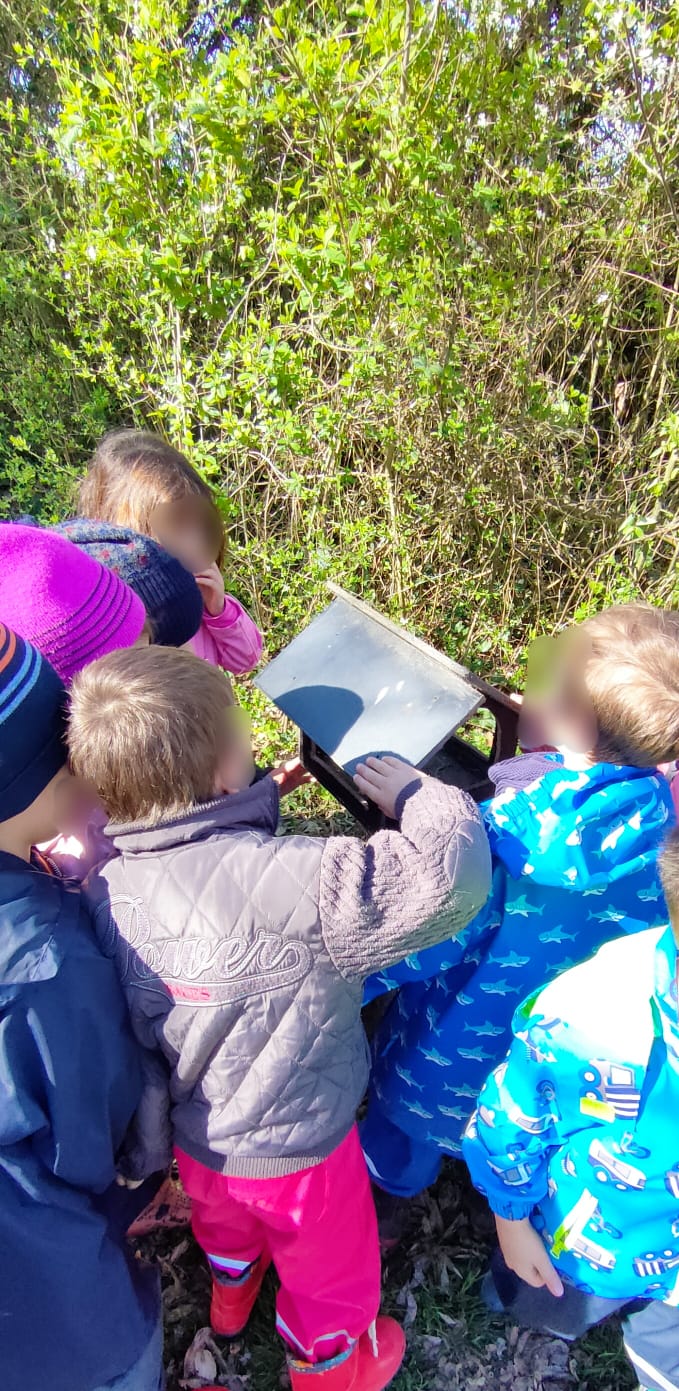 Scuola d'Infanzia Arcobaleno di Guastalla al centro di educazione