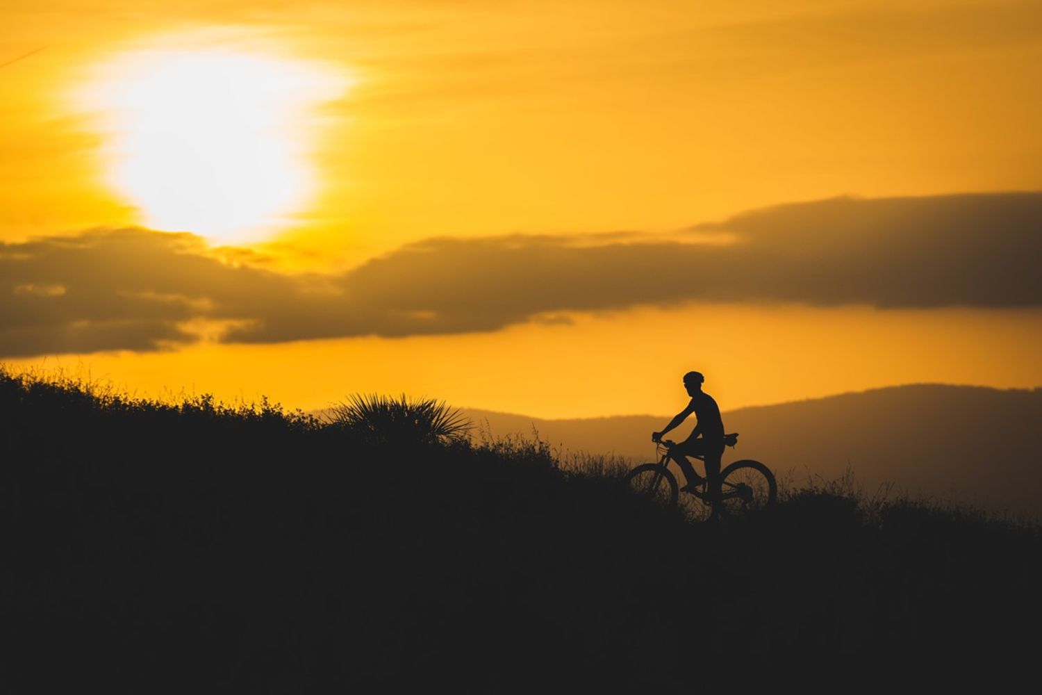 The 22 Best Mountain Bikes Money Can Buy In 2023