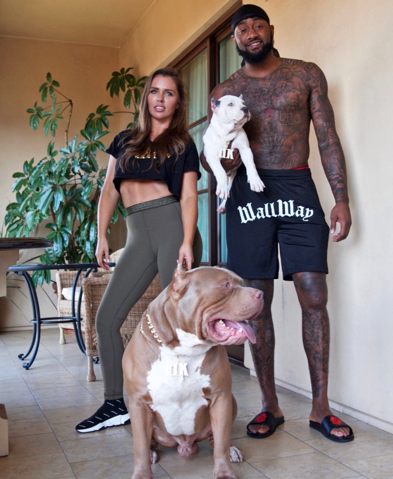 XXL Blue Pitbulls Biggest Pitbull Puppies Kennel