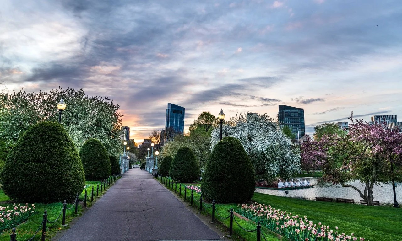 7 breathtaking photos to remind you that Boston is beautiful