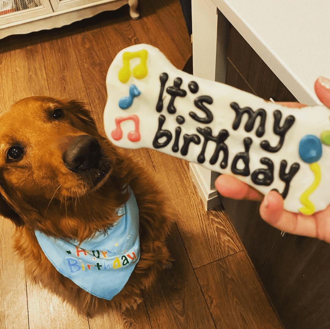 Does Petsmart Have Dog Birthday Cakes