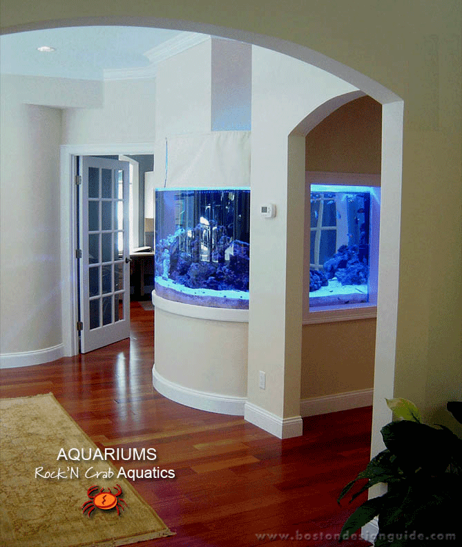 Rock'N Crab Aquatics