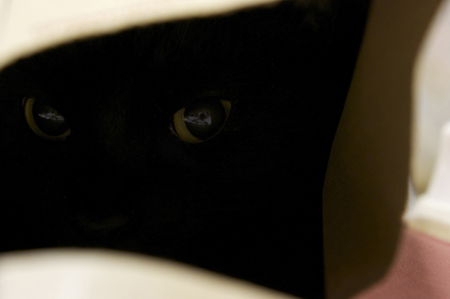 Boston Double Reed, Inc.