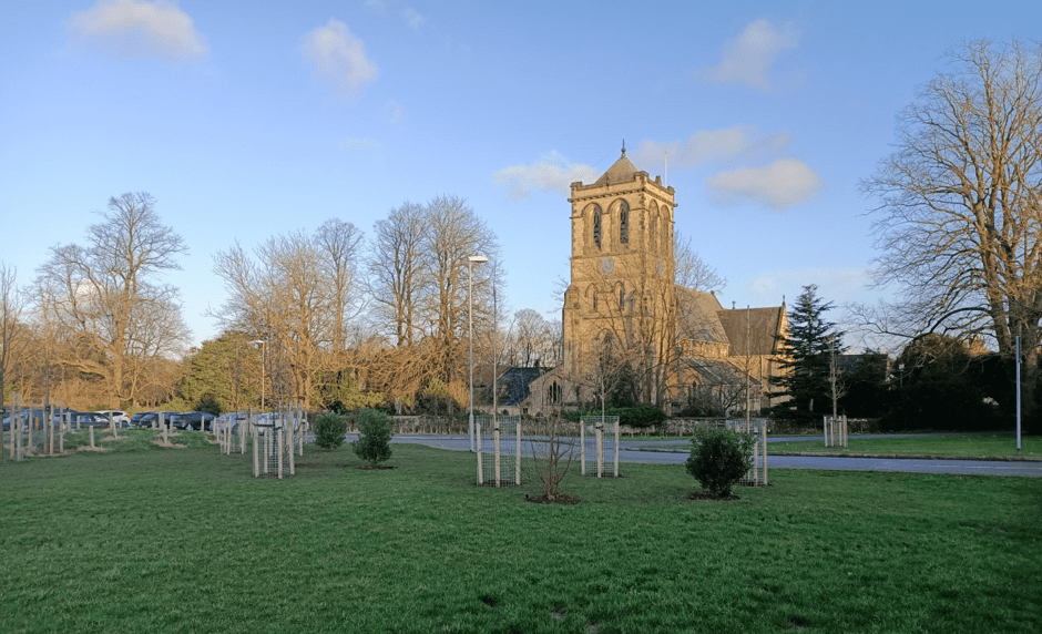 Church Fields Sponsored Trees Boston Spa Parish Council