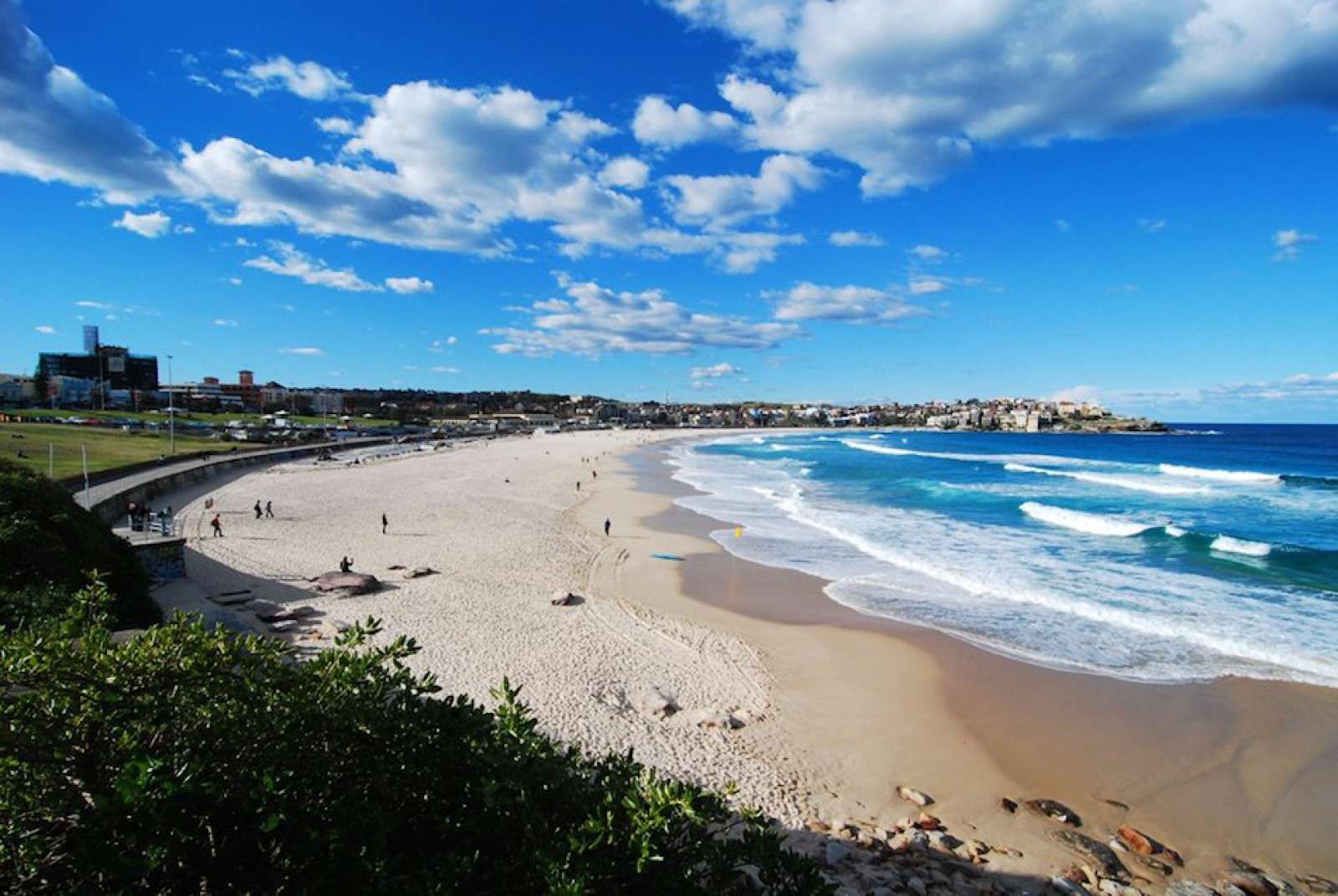 Bondi Beach Deekshit Boston Spotlite