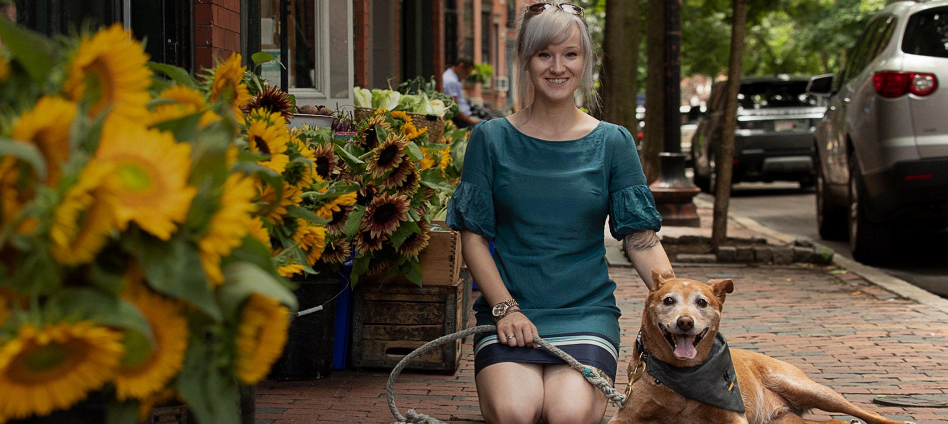 Veterinarians and Animal Hospital in Boston, MA Boston Veterinary Clinic