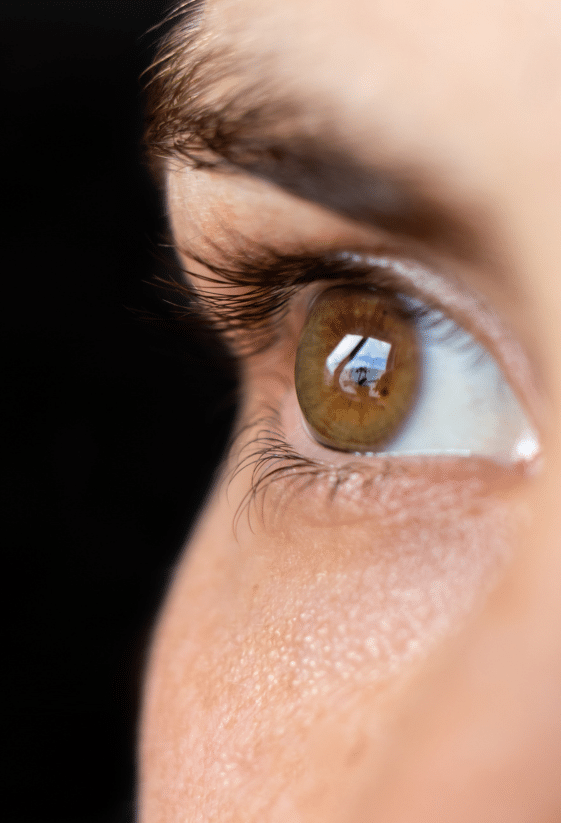 Knowing the Best Options for Cornea Transplant Services Boston Vision