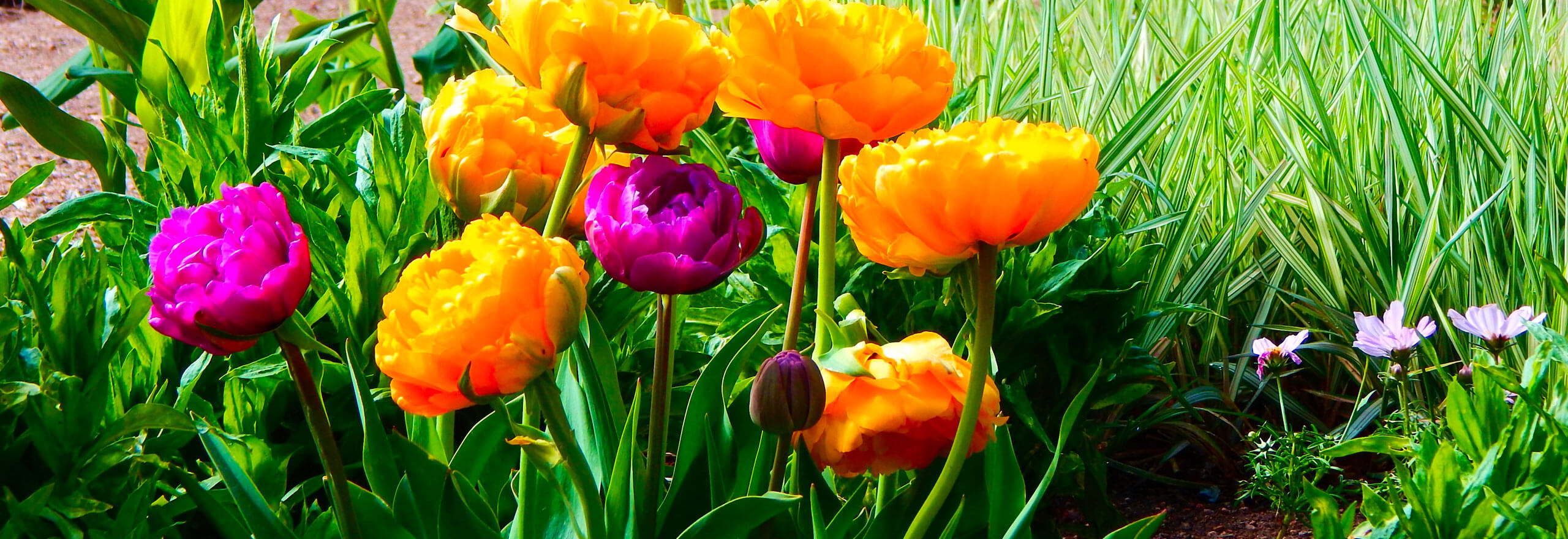 classes Cheyenne Botanic Gardens