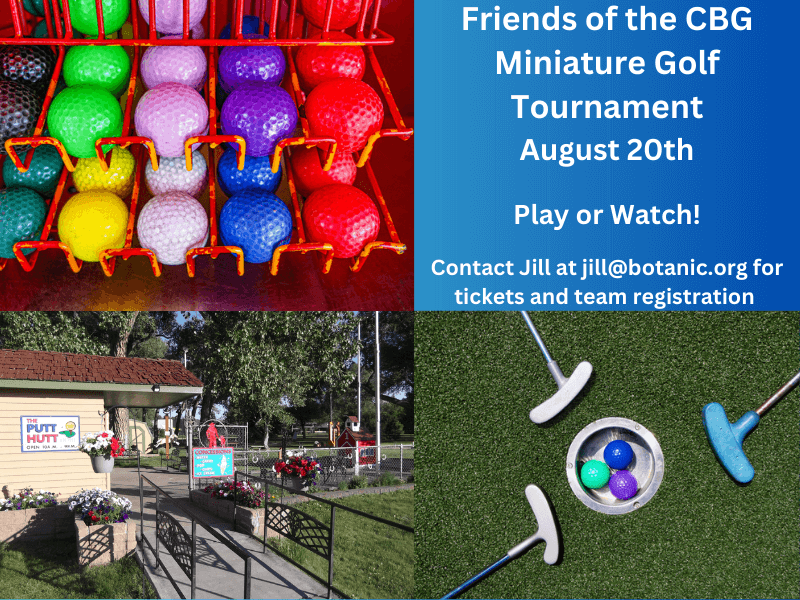 Miniature Golf Tournament