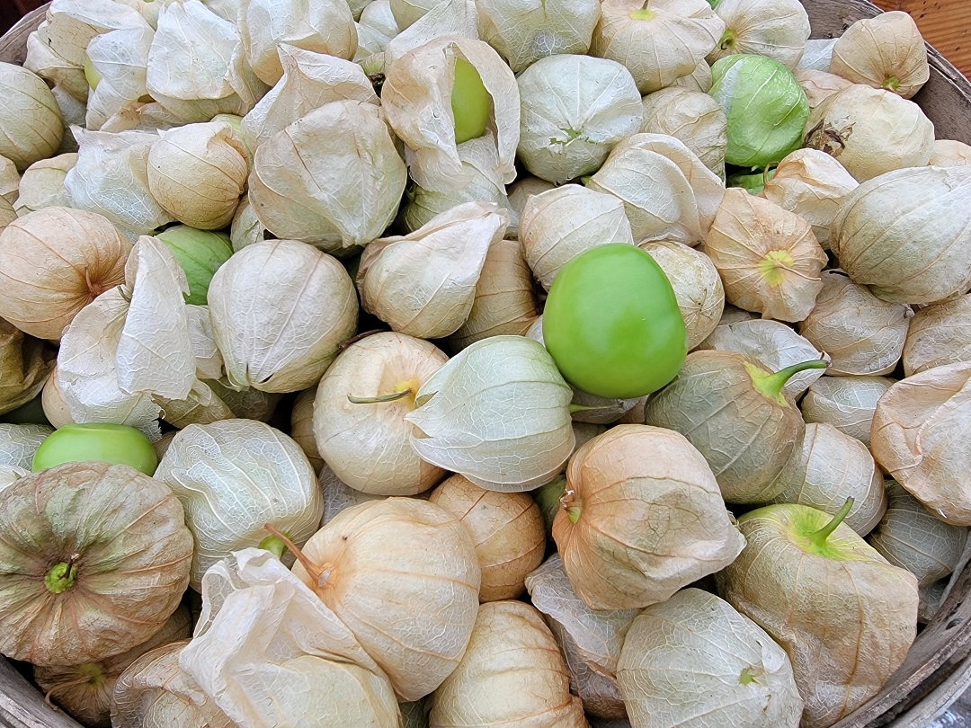 Tomato & Tomatillo Salad with Edible Flowers Botanical Kitchen