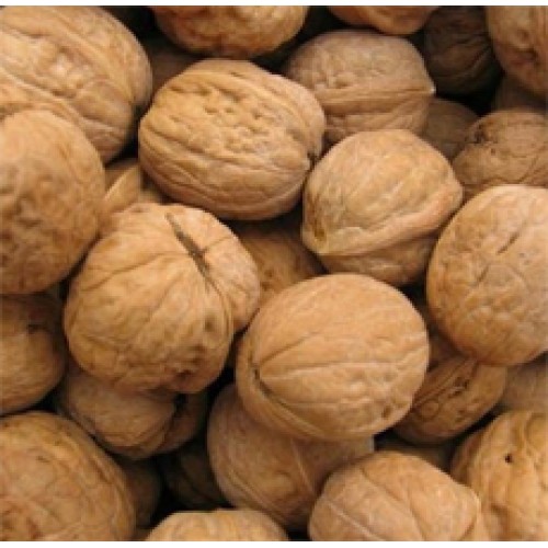 Shop for Walnut Husk Exfoliant in Canada and USA