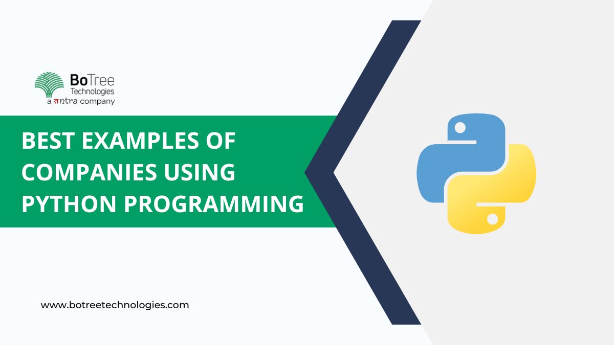 8 Best Examples of Top Companies using Python Programming