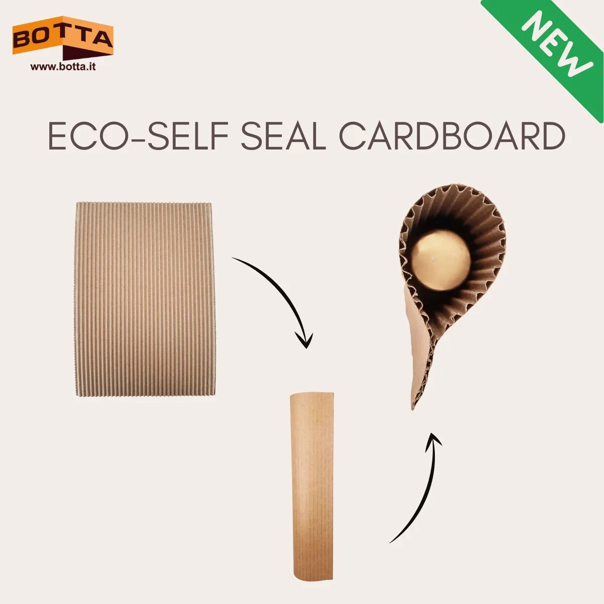 BOTTA PACKAGING » ecopackaging solutions EcoSelf Seal Cardboard