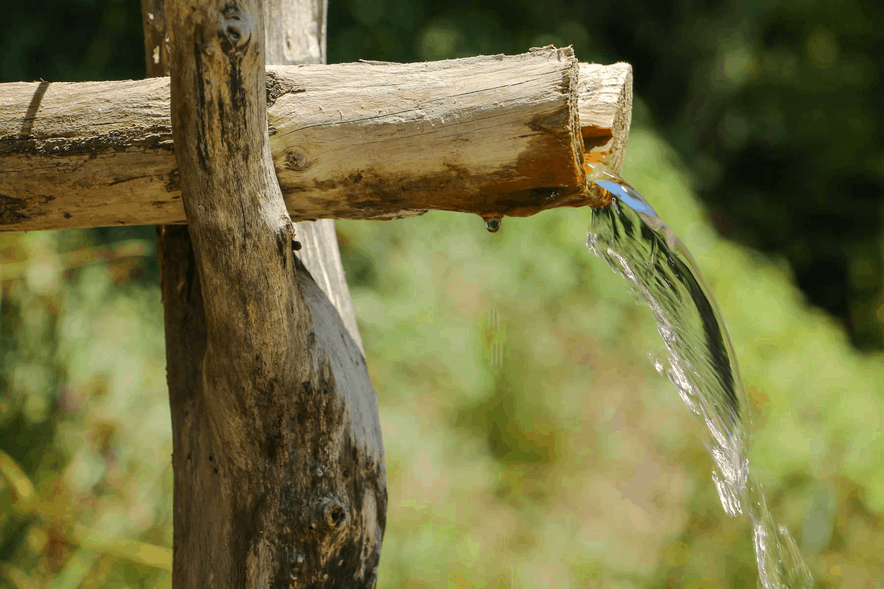 Top 6 Water Impurities That Could Affect Your Health